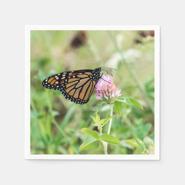 Servilleta De Papel Mariposa de monarca (Anverso)