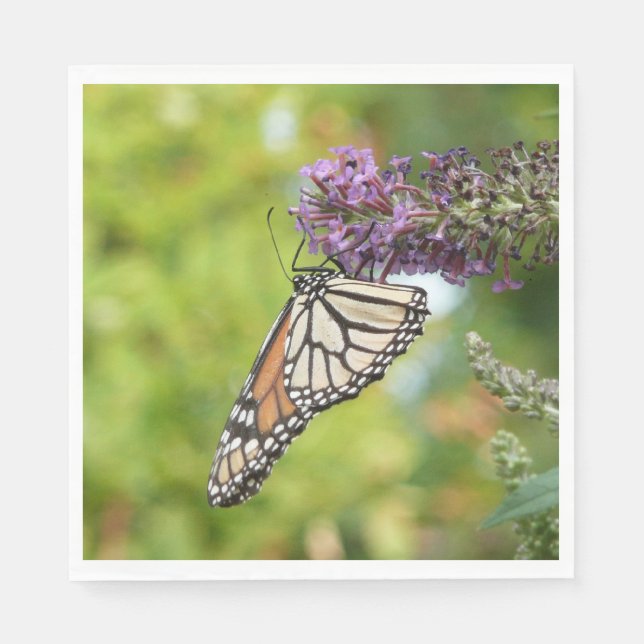 Servilleta De Papel Mariposa Monarca en Arbusto de Mariposas Púrpura (Anverso)