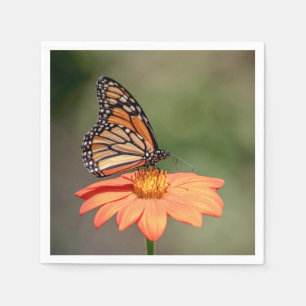 Servilleta De Papel Mariposa monarca en una flor naranja