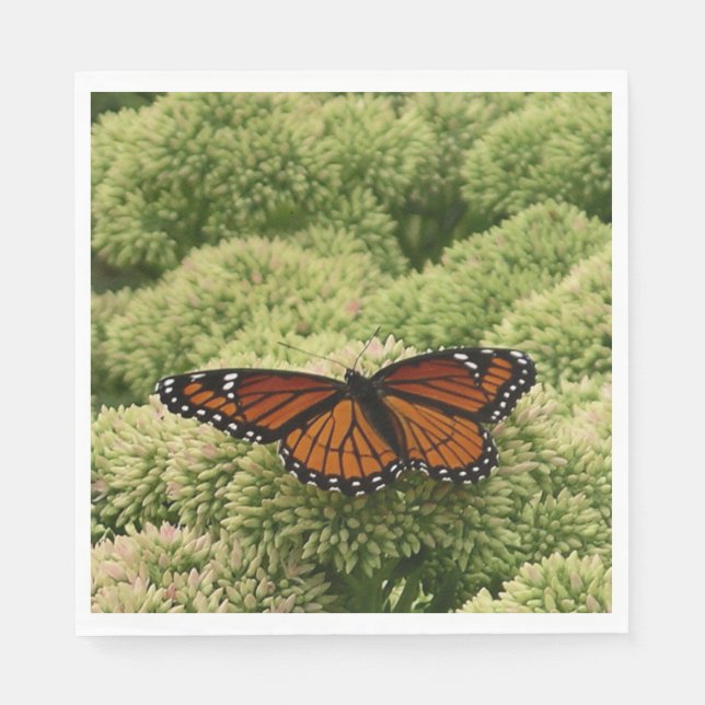 Servilleta De Papel Mariposa Viceroy Hermosa Fotografía de la Naturale (Anverso)