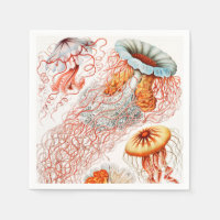 Marisco, Discomedusae de Ernst Haeckel