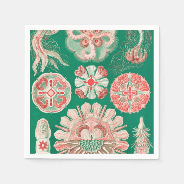 Servilleta De Papel Marisco, Discomedusae de Ernst Haeckel (Anverso)