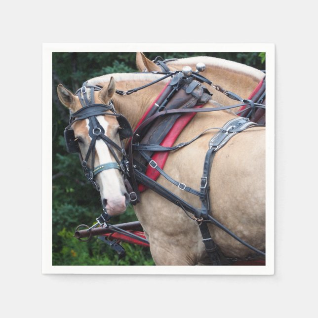 Servilleta De Papel Mazo de cables Palomino (Anverso)