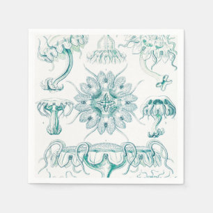 Servilleta De Papel Medusas, Discomedusae por Ernst Haeckel