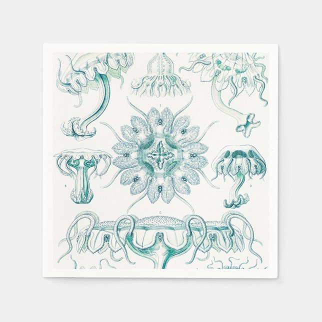 Servilleta De Papel Medusas, Discomedusae por Ernst Haeckel (Anverso)