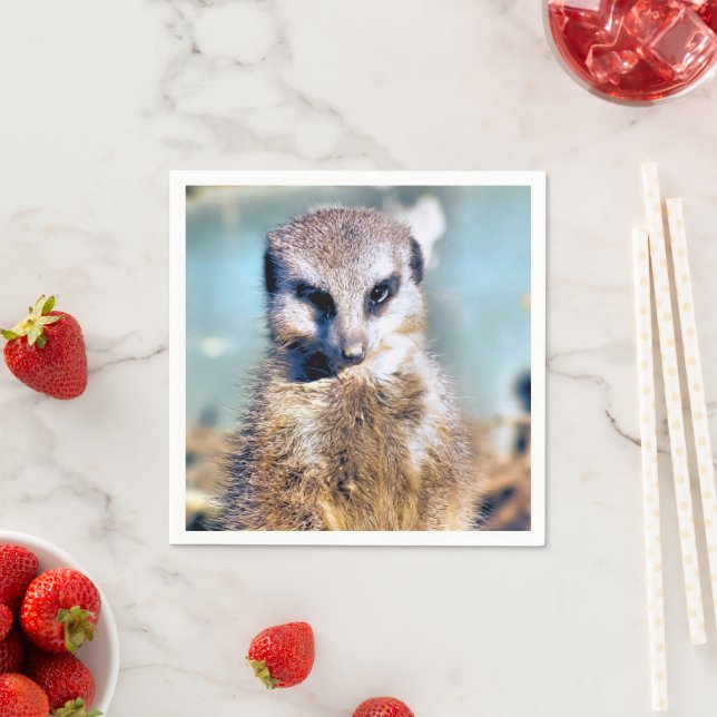 SERVILLETA DE PAPEL MEERKAT (In situ)