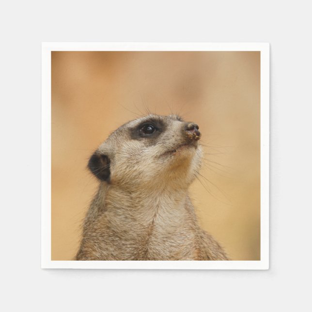 Servilleta De Papel Meerkat20151002 (Anverso)