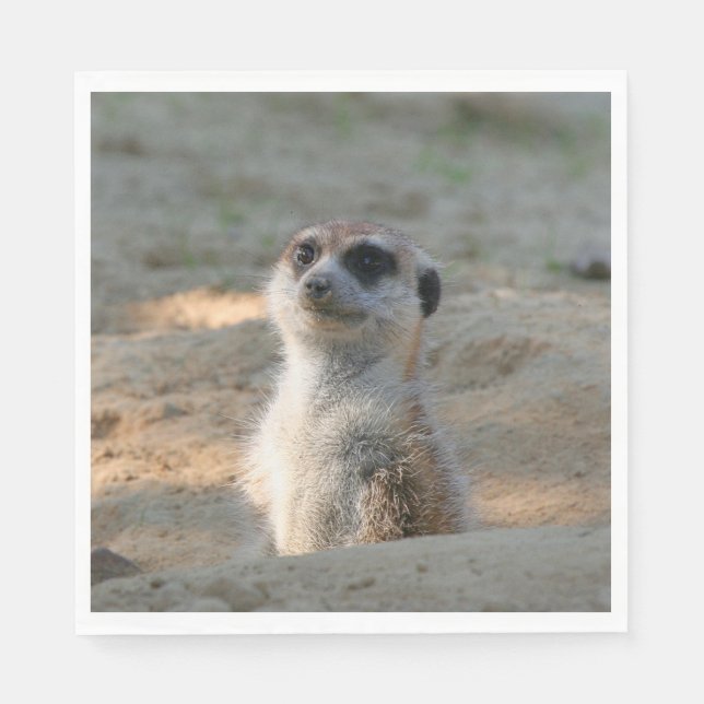 Servilleta De Papel Meerkat 004 (Anverso)