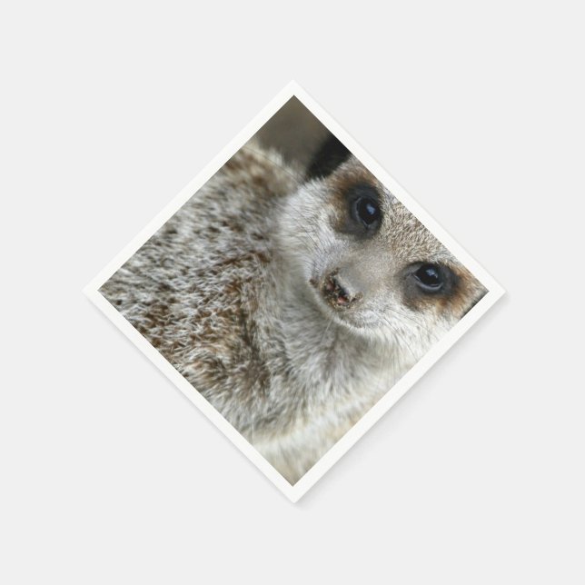 Servilleta De Papel meerkat-16.jpg (Borde)