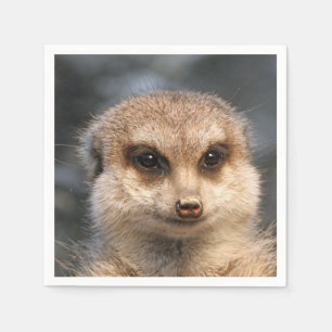 Servilleta De Papel Meerkat-Portrait 002