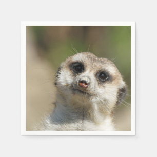 Servilleta De Papel Meerkat-Portrait 003