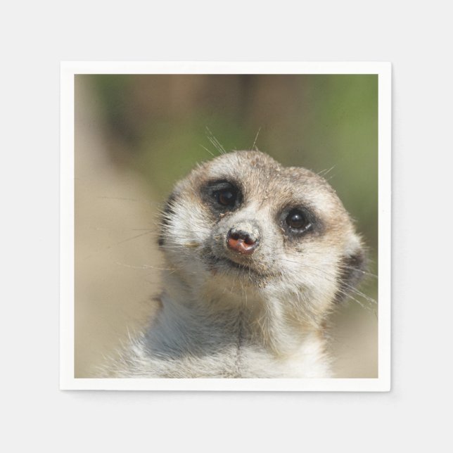 Servilleta De Papel Meerkat-Portrait 003 (Anverso)