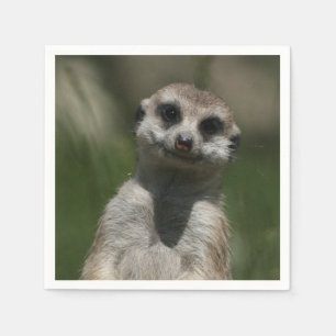 Servilleta De Papel Meerkat-Portrait 004