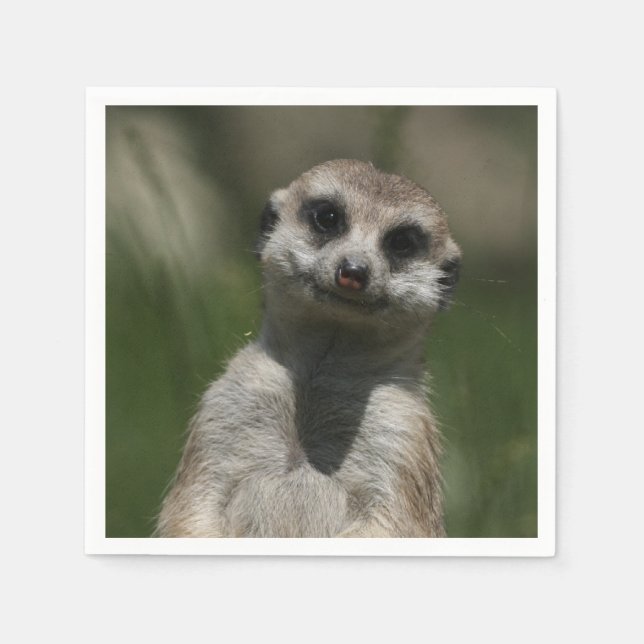 Servilleta De Papel Meerkat-Portrait 004 (Anverso)