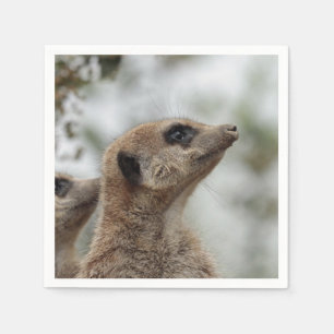 Servilleta De Papel Meerkat-Portrait 005