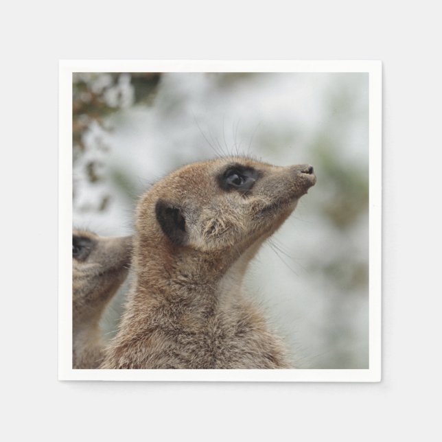 Servilleta De Papel Meerkat-Portrait 005 (Anverso)