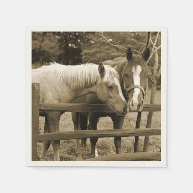 Servilleta De Papel Mejores amigos (Anverso)