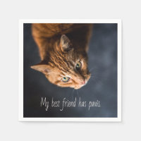 Mi mejor amigo tiene patas, Cat Kitten Cute