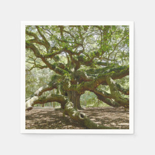 Servilleta De Papel Mighty Angel Oak
