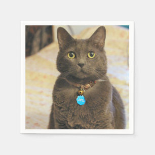 Servilleta De Papel Mims