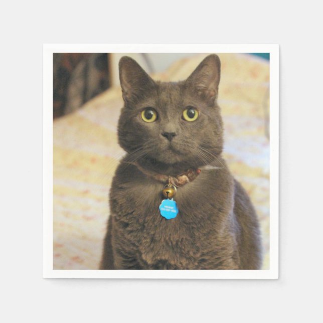 Servilleta De Papel Mims (Anverso)