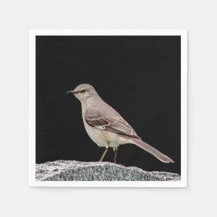 Servilleta De Papel Mockingbird en una lápida
