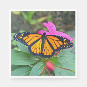 Servilleta De Papel Monarca Mariposa Rosa Fotos Florales