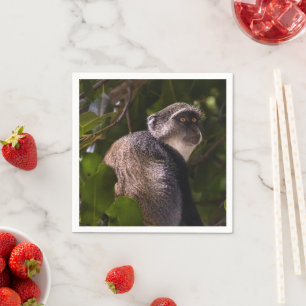 Servilleta De Papel Mono azul, Zanzíbar