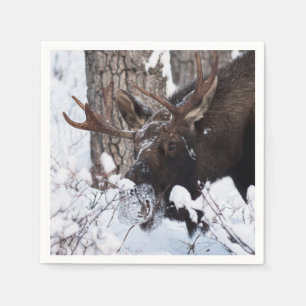 Servilleta De Papel Moose Chileno