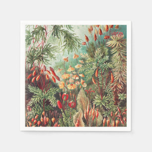 Servilleta De Papel Mosses, muscinae Laubmoose por Ernst Haeckel