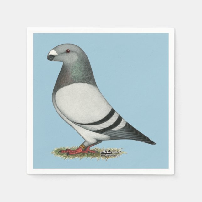 Servilleta De Papel Mostrar pichón de barra azul Racer (Anverso)