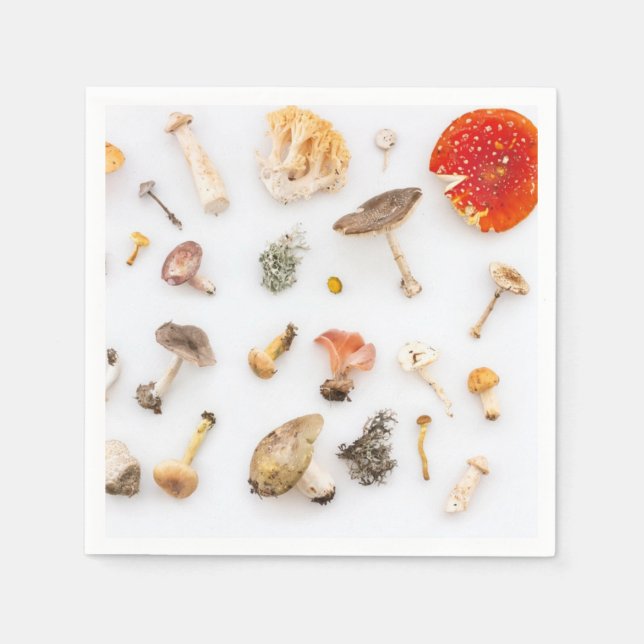 Servilleta De Papel Mushrooms Fungus (Anverso)
