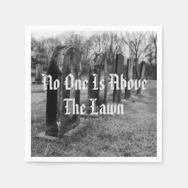 Servilleta De Papel Nadie Está Sobre El Césped