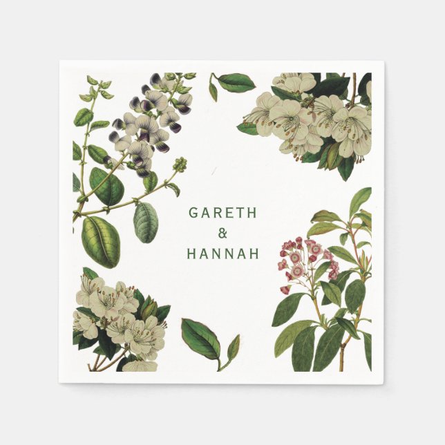 SERVILLETA DE PAPEL NAPKIN DE PAPEL BOTÁNICO (Anverso)