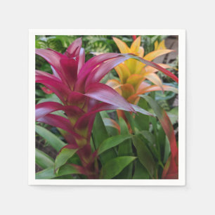 Servilleta De Papel Napkin de papel Bromeliad