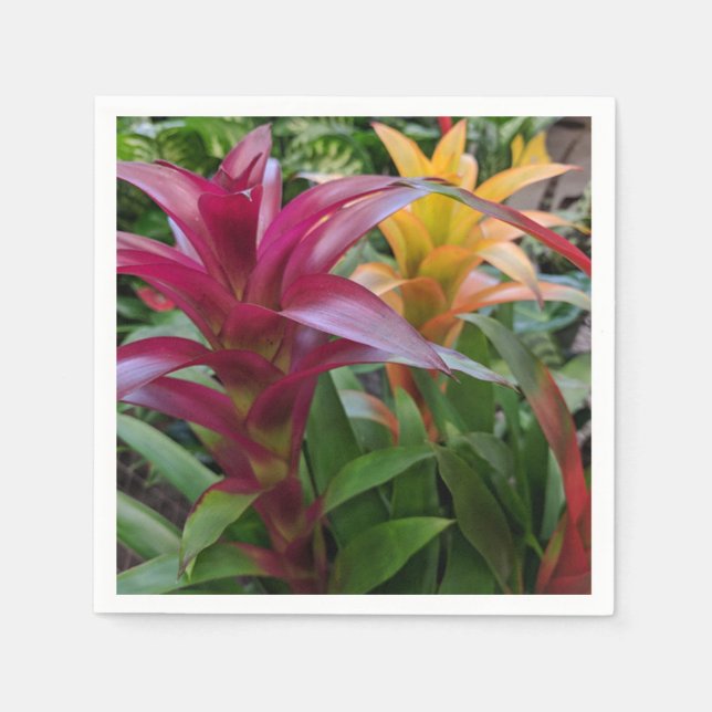 Servilleta De Papel Napkin de papel Bromeliad (Anverso)