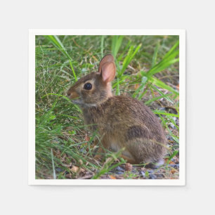Servilleta De Papel Napkin de papel de conejo para bebés