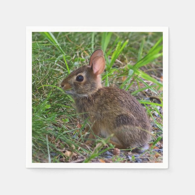 Servilleta De Papel Napkin de papel de conejo para bebés (Anverso)