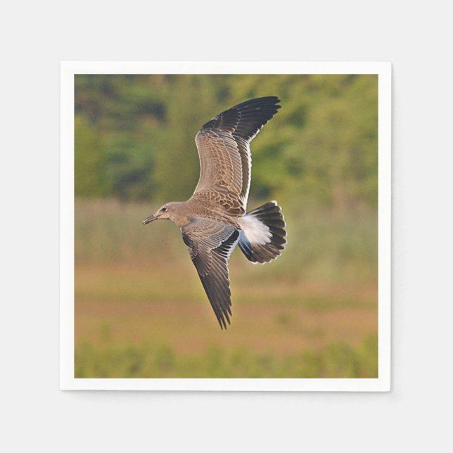 Servilleta De Papel Napkin de papel de gaviota marina (Anverso)