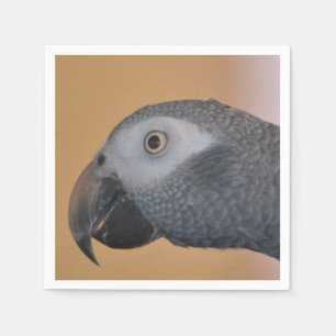 Servilleta De Papel Napkin de papel de loro gris de África