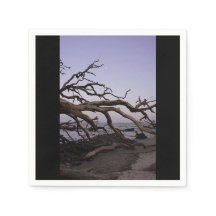 Napkin de papel de playa de Driftwood