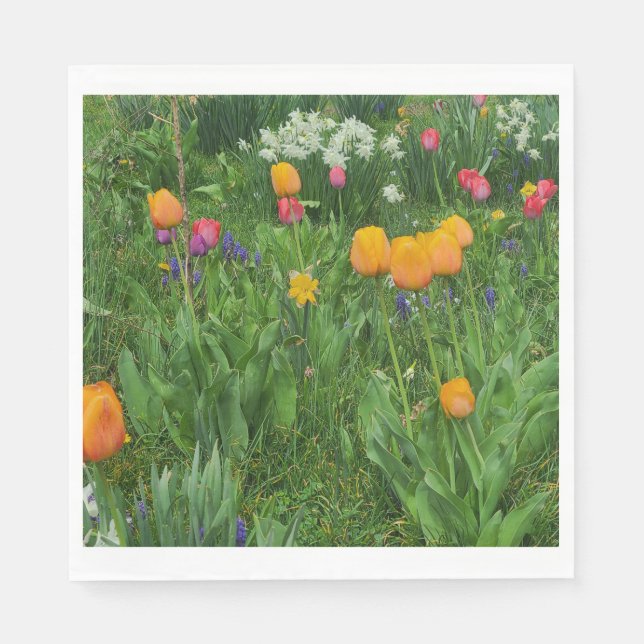 Servilleta De Papel Napkins (Anverso)