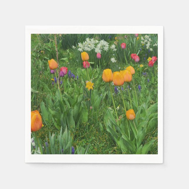 Servilleta De Papel Napkins (Anverso)