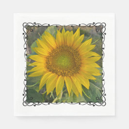 Servilleta De Papel Napkins