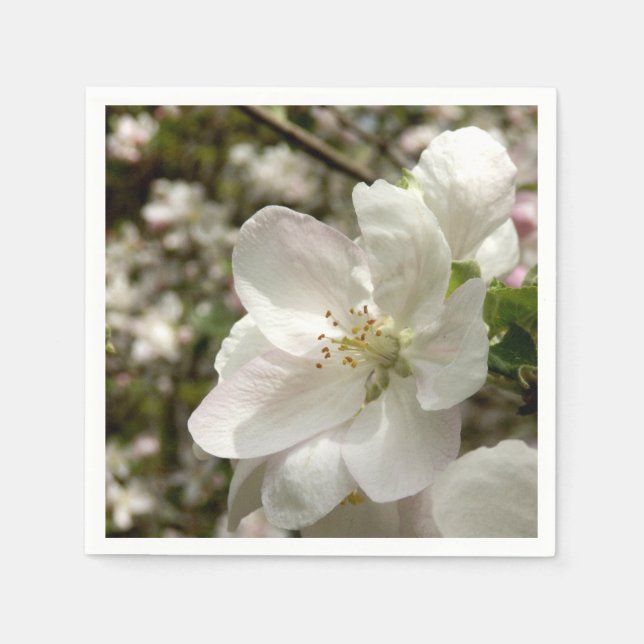Servilleta De Papel Napkins Apple Blossom Paper (Anverso)