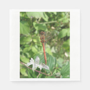 Servilleta De Papel Napkins Darter Dragonfly