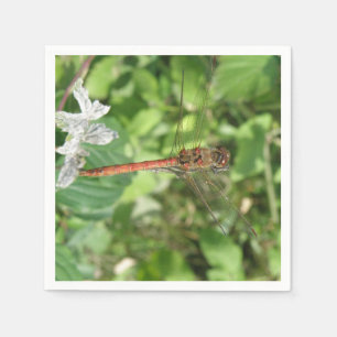 Servilleta De Papel Napkins Darter Dragonfly