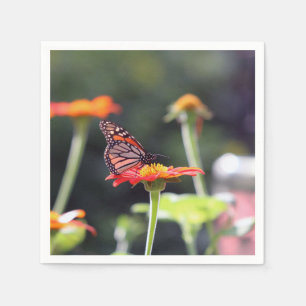 Servilleta De Papel Napkins de mariposa