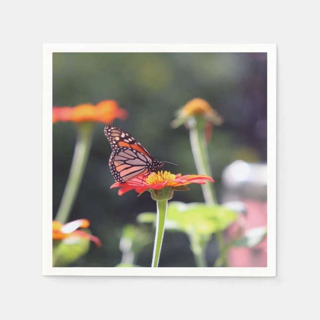 Servilleta De Papel Napkins de mariposa (Anverso)