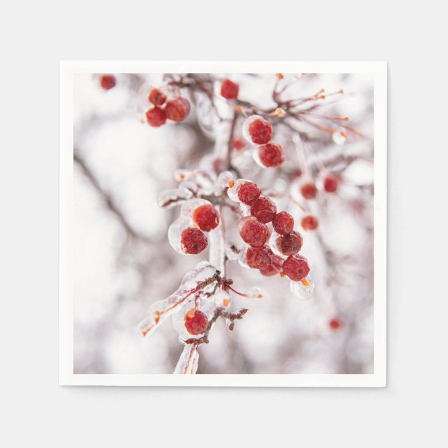 Servilleta De Papel Napkins de papel (Anverso)